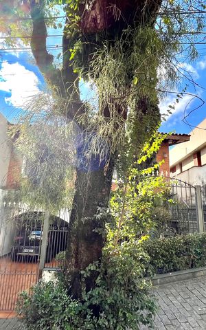 Casa à venda com 246m², 4 quartos e 4 vagasFachada