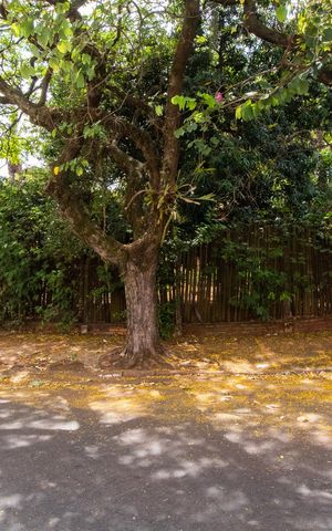 Casa à venda com 1500m², 3 quartos e 4 vagasFachada