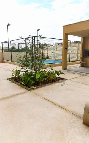 Apartamento para alugar com 32m², 2 quartos e sem vaga Apartamento para alugar com 32m², 2 quartos e sem vagaÁrea Comum