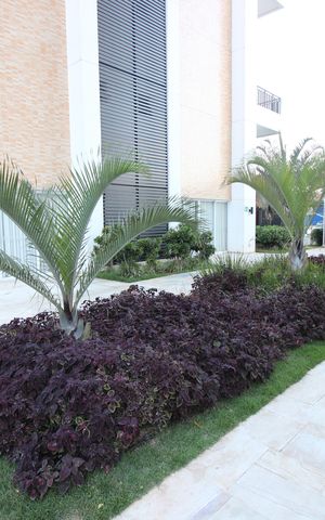 Apartamento para alugar com 47m², 1 quarto e 1 vagaÁrea comum