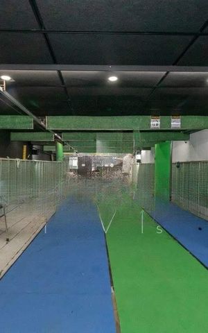 Casa à venda com 1005m², 5 quartos e 12 vagas
