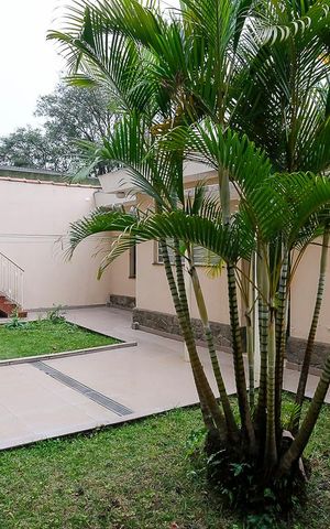 Casa à venda com 222m², 3 quartos e 4 vagasQuintal