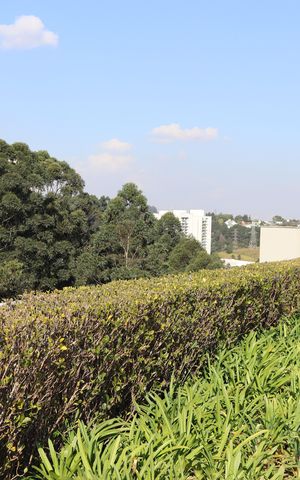 Apartamento à venda com 50m², 1 quarto e 1 vaga Apartamento à venda com 50m², 1 quarto e 1 vagaÁrea comum