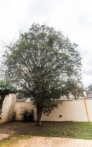 Casa à venda com 480m², 4 quartos e 4 vagasQuintal