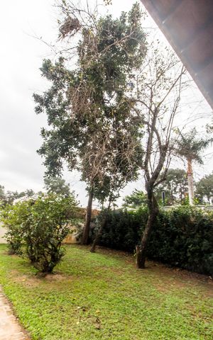 Casa à venda com 480m², 4 quartos e 4 vagasVista da Sala