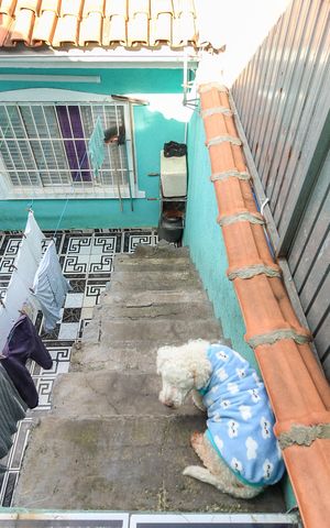 Casa à venda com 207m², 2 quartos e 3 vagasEscada Edícula