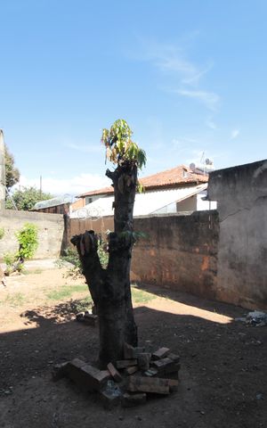 Casa para alugar com 516m², 5 quartos e 5 vagasCasa 1 | Quintal