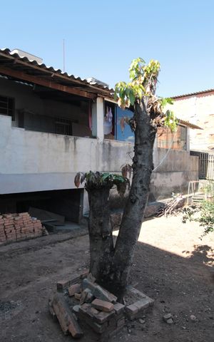 Casa para alugar com 516m², 5 quartos e 5 vagasCasa 1 | Quintal