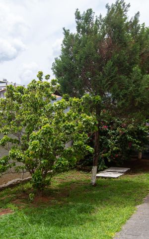 Apartamento para alugar com 48m², 2 quartos e 1 vagaÁrea comum