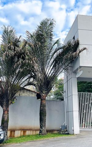 Apartamento para alugar com 51m², 2 quartos e 1 vaga Apartamento para alugar com 51m², 2 quartos e 1 vagaVista da Rua