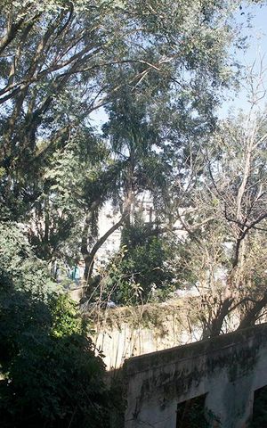 Apartamento à venda com 50m², 1 quarto e sem vagaÁrea de Serviço - Vista