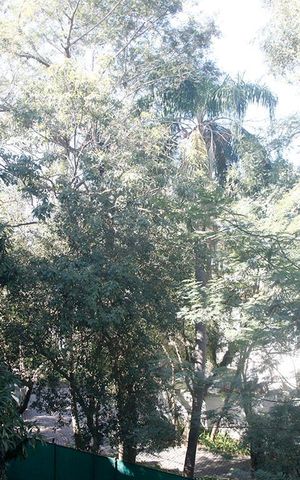 Apartamento à venda com 50m², 1 quarto e sem vagaQuarto Vista