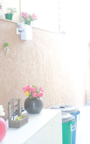 Casa à venda com 249m², 4 quartos e 4 vagasQuintal / Área de Serviço