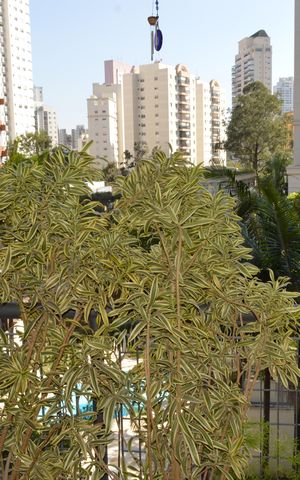 Apartamento à venda com 70m², 2 quartos e 1 vagaVaranda