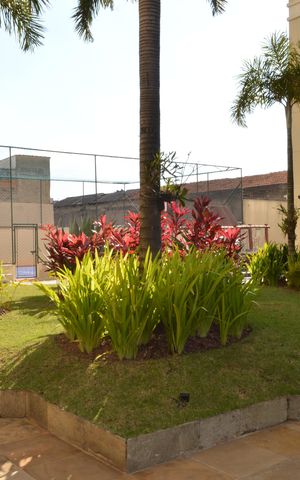 Apartamento à venda com 65m², 2 quartos e 1 vagaÁrea comum