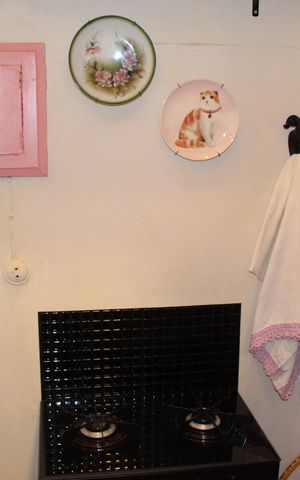 Studio para alugar com 41m², 1 quarto e sem vagaCozinha