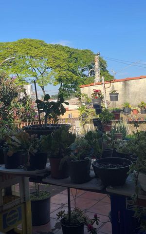 Casa à venda com 240m², 3 quartos e 4 vagas