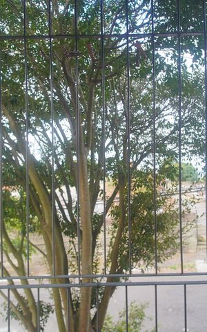 Casa à venda com 320m², 2 quartos e 3 vagasVista do Quarto 1