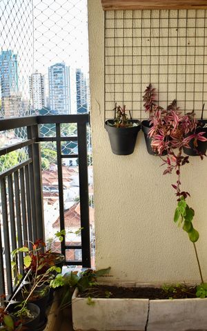 Apartamento à venda com 120m², 3 quartos e 2 vagas Apartamento à venda com 120m², 3 quartos e 2 vagasSacada