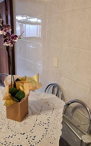 Casa à venda com 282m², 4 quartos e 3 vagas Casa à venda com 282m², 4 quartos e 3 vagasCozinha