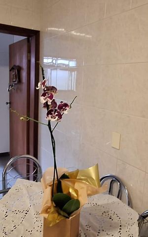 Casa à venda com 282m², 4 quartos e 3 vagas Casa à venda com 282m², 4 quartos e 3 vagasCozinha