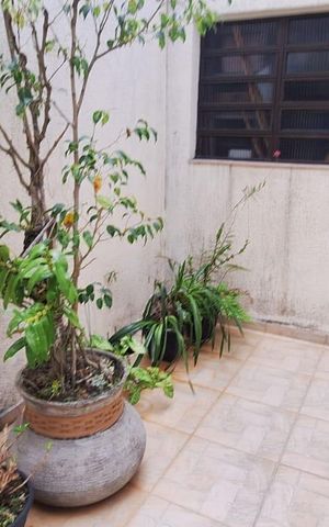 Casa à venda com 282m², 4 quartos e 3 vagas Casa à venda com 282m², 4 quartos e 3 vagasÁrea comum