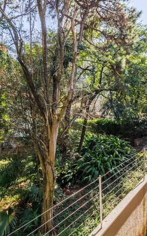 Casa à venda com 350m², 3 quartos e 5 vagasVista da Suíte 1