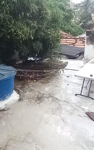 Casa à venda com 200m², 2 quartos e sem vaga Casa à venda com 200m², 2 quartos e sem vagaÁrea Externa