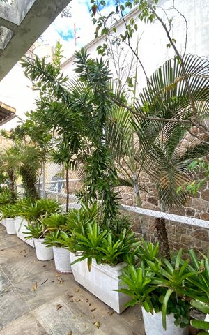 Apartamento à venda com 647m², 6 quartos e 3 vagas Apartamento à venda com 647m², 6 quartos e 3 vagasÁrea Externa