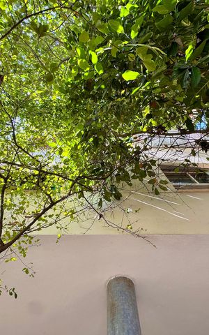 Studio à venda com 33m², 1 quarto e sem vaga Studio à venda com 33m², 1 quarto e sem vagaFachada