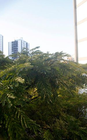 Apartamento à venda com 191m², 4 quartos e 2 vagasQuarto 4 Vista