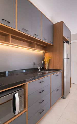 Apartamento para alugar com 39m², 2 quartos e sem vagaCozinha 