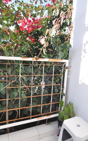 Casa à venda com 300m², 3 quartos e 2 vagasSacada da Suíte 1
