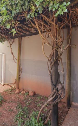 Casa à venda com 220m², 2 quartos e 5 vagas Casa à venda com 220m², 2 quartos e 5 vagasQuintal