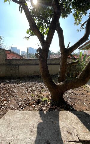 Casa à venda com 199m², 4 quartos e 4 vagas Casa à venda com 199m², 4 quartos e 4 vagasQuintal