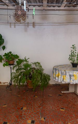 Casa à venda com 219m², 2 quartos e 5 vagas Casa à venda com 219m², 2 quartos e 5 vagasQuintal
