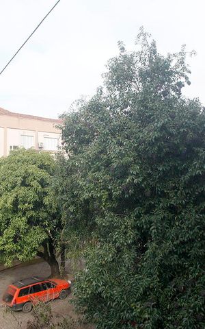 Apartamento à venda com 63m², 2 quartos e sem vagaVista do Quarto 2