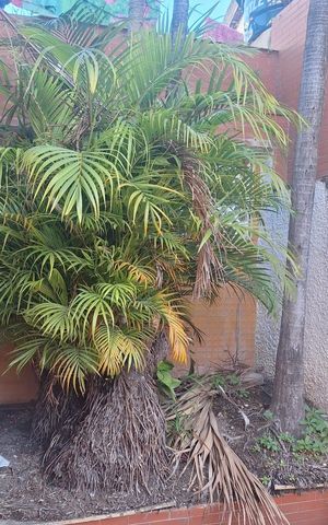 Casa à venda com 140m², 2 quartos e sem vaga