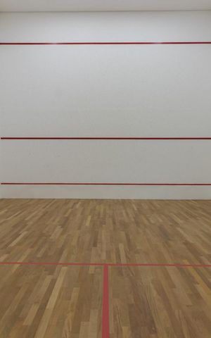 Studio para alugar com 34m², 1 quarto e sem vagaQuadra de Squash