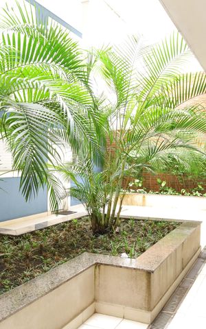 Apartamento para alugar com 47m², 2 quartos e sem vaga Apartamento para alugar com 47m², 2 quartos e sem vagaÁrea comum - Saguão