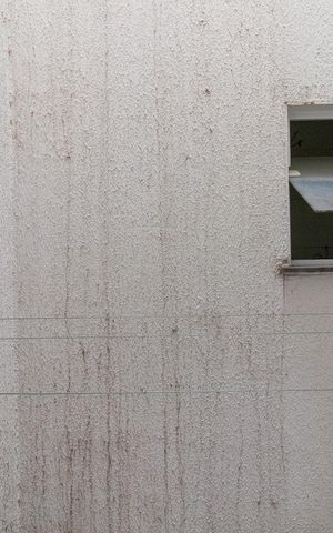Apartamento para alugar com 40m², 2 quartos e sem vagaVista do Quarto 1
