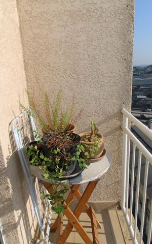 Apartamento à venda com 52m², 2 quartos e sem vagaVaranda