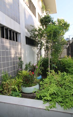 Apartamento para alugar com 78m², 2 quartos e 1 vagaÁrea comum - Jardim