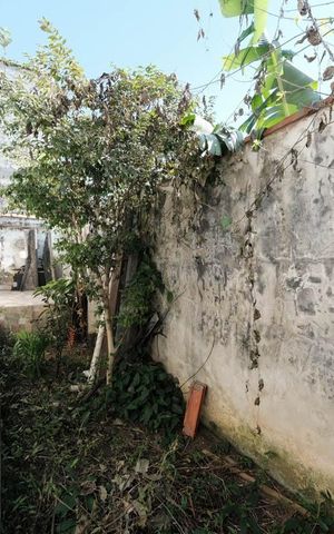 Casa à venda com 390m², 3 quartos e 8 vagasÁrea externa