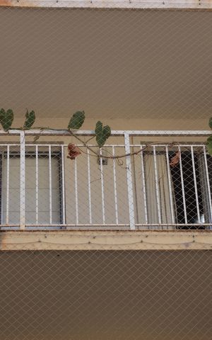 Apartamento para alugar com 67m², 2 quartos e 1 vagaPlaquinha