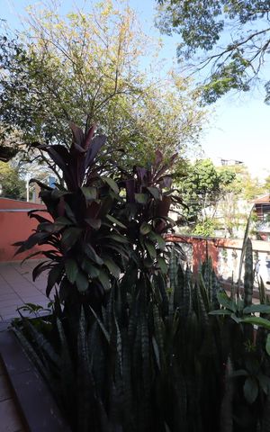 Casa para alugar com 90m², 1 quarto e 2 vagasQuintal