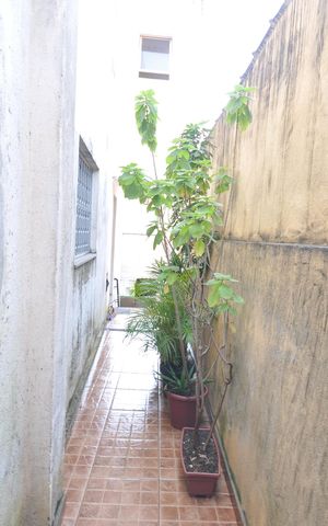 Casa à venda com 204m², 3 quartos e 2 vagasCorredor externo lateral