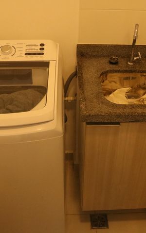 Apartamento à venda com 57m², 2 quartos e 1 vagaCozinha e Área de Serviço