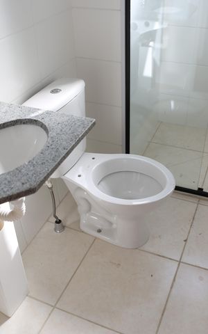 Apartamento à venda com 52m², 2 quartos e 1 vagaBanheiro