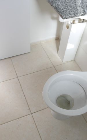 Apartamento à venda com 52m², 2 quartos e 1 vagaBanheiro da Suíte